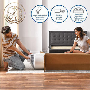12-inch Compressed <b>Roll</b> High-Density Foam Pocket Spring Mattress for Hotels Modern Bedroom Furniture K-22 School Memory Foam <b>Mat</b> - Product Image 2