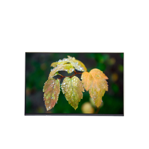 Pantalla LCD M190PW01 VD de 19.0 Pulgadas 1440*900, Panel LCD Nuevo - Product Image 1