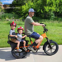 Vélo électrique tout-terrain avec porte-bagages et longue autonomie, éclairage LED, batterie 48V 15Ah