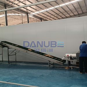 High Quality Papaya Cleaning and Drying Production Line Dried Vegetable Papaya Slices Washing and Drying Machine - Product Image 5