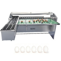Machine de pesage et de tri des œufs de poulet en acier inoxydable, machine de tri des œufs de canard et d'oie, machine d'inspection des œufs par éclairage