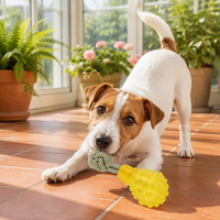 Jouet de tirage pour chien en forme d'ampoule unique, jouet interactif pour chiot, personnalisation prise en charge