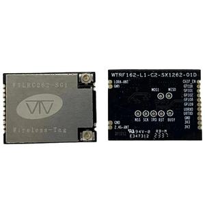 Modul Lora Tag nirkabel WTLRC262-SG mendukung ESP32 WiFi BLE LoRa dengan SX1262 IC <span class=keywords><strong>IoT</strong></span> Lora modul berdasarkan ESP32-C2 - Product Image 1