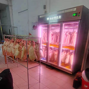 Refrigerador Comercial <span class=keywords><strong>de</strong></span> Acero Inoxidable <span class=keywords><strong>de</strong></span> Temperatura Única para Maduración en Seco con Enfriamiento por Aire para Carne <span class=keywords><strong>de</strong></span> Res y Pato - Product Image 6