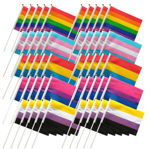 Venta al por mayor 14*21cm Arco Iris mano ondeando bandera LGBT orgullo para Gay Bisexual transgénero <span class=keywords><strong>No</strong></span> <span class=keywords><strong>Binario</strong></span> Para agencia de viajes educativa - Product Image 5