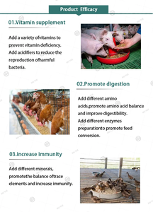 Optimización de la Nutrición Animal, Aditivo para Pienso en Polvo para el Crecimiento y la Salud, Suplemento Vitamínico, Aminoácidos Secos de Grado Alimenticio para Animales - Product Image 3