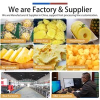 Ananas-snijlijn 500-1000kg/u, inclusief ponsen, ontpitten, splitsen, sorteren en snijden voor fruitfabrieken