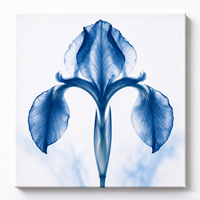 4 Pièces d'Art Mural sur Toile Transparente Bleue, Affiche Abstraite Moderne, Décoration Murale Nordique pour la Maison, Peinture avec Cadre en Bois