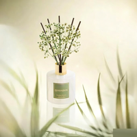 Prêt pour le dropshipping, commande en gros, écologique, longue durée, parfum boisé frais de forêt de bambou, pour chambre, salle de bain, bureau, Bamboo Stream