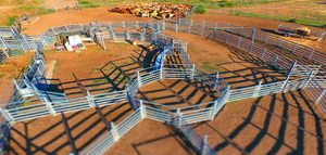 Nhà Máy Trực Tiếp Nhiệm Vụ Nặng Nề Gia Súc Bãi Mạ Kẽm Gia Súc Nghiền Chăn Nuôi Sân Gia Súc Sân - Product Image 4