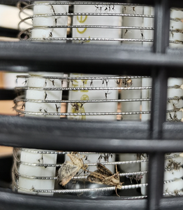 <span class=keywords><strong>Lampe</strong></span> <span class=keywords><strong>anti</strong></span>-moustiques électrique LED SJZ Electronics, piège à insectes électronique, répulsif <span class=keywords><strong>anti</strong></span>-moustiques - Product Image 5