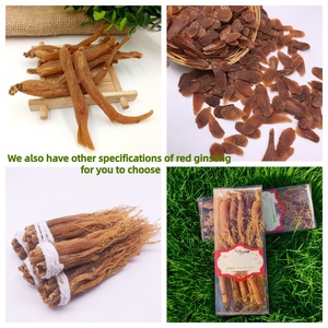 1011 Sâm đỏ nguyên chất chất lượng cao, bán buôn, 120 viên/gói 500g, trà thảo dược sâm đỏ khô, rễ sâm đỏ Panax - Product Image 6