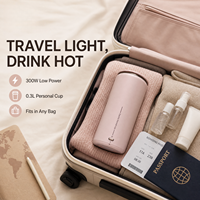 Mini bouilloire électrique portable de voyage, bouilloire électrique de voyage, appareils ménagers de 0.3 L, meilleure bouilloire électrique