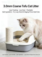 Litière pour chat en tofu à faible teneur en poussière, charbon actif, contrôle des odeurs, litière pour chat à base de plantes, emballage personnalisé