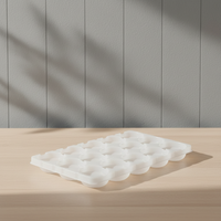 Plateau en plastique rectangulaire PP antistatique, écologique, jetable et personnalisable avec couvercle pour l'emballage d'électronique grand public
