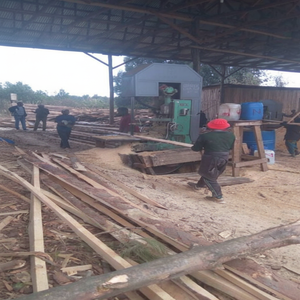 Sierra de Cinta Vertical de 36, 40, 42, 48 y 60 Pulgadas, CNC, Hidráulica, Neumática, Motor Automático, Carro para Troncos de Madera - Product Image 1