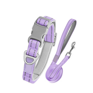 Conjunto de Collar y Correa para Perro de Nailon Morado con Tiras Reflectantes Ajustables para Perros Pequeños Estilo Simple - Product Image 1