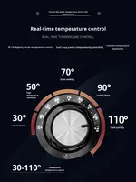 Blios OEM ODM Cuiseur à nouilles multifonctionnel à faible entretien 3000W en acier inoxydable 220V 50Hz 60Hz pour la restauration commerciale