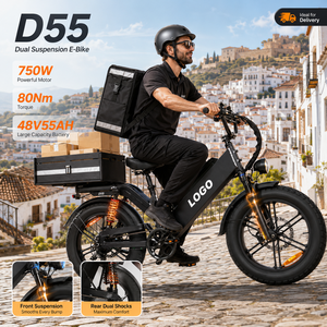 Bicicleta Eléctrica de Reparto D55, 48V55Ah, Neumático Grueso de 20 Pulgadas, 750W, E-MTB, 240 km de Autonomía, Doble Suspensión, Bicicleta de Carga Personalizada para Todo Terreno - Product Image 1