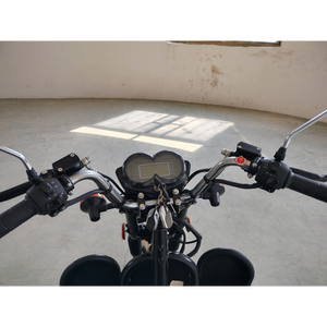 Vendita Diretta dalla Fabbrica: Scooter Elettrico ad Alta Velocità 40-60 Km/h, Lunga Autonomia, Personalizzabile, per Carichi Pesanti, 72V, per Adulti, per Spostamenti Urbani e Rurali - Product Image 4