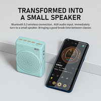 Amplifier suara portabel, Speaker profesional Amplifier suara portabel murah harga rendah dengan mikrofon nirkabel UHF 2025