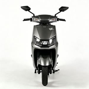 Vélo électrique urbain pour adultes avec pédales, 2 roues, moteur 1500W, batterie au plomb-acide 60V 20AH, freins à disque <span class=keywords><strong>avant</strong></span>/freins à <span class=keywords><strong>tambour</strong></span> arrière - Product Image 1