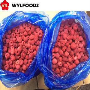 Số Lượng Lớn Bán Buôn IQF Frozen Raspberry Giá Tại Trung Quốc Trái Cây Đông Lạnh - Product Image 2