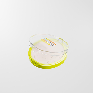 Estuche compacto transparente vacío de 10g para polvos, colorete o sombras de ojos, tamaño muestra, envase cosmético personalizado - Product Image 3