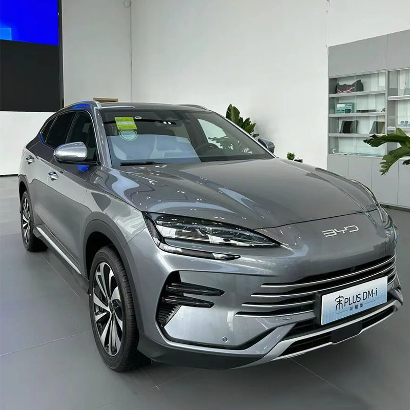 2025 China New Energy Vehicles Byd