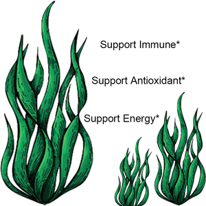 Cápsulas de Espirulina y Chlorella 3000mg, Venta Caliente OEM/ODM, Apoya el Sistema Inmunológico y Antioxidantes, Vitaminas Veganas y Proteínas - Product Image 3