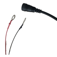 Assemblage de câble d'alimentation audio personnalisé 2m RCA femelle 12*6.4mm pour voitures 3A bloc de fusibles gaine en PVC câbles audio vidéo en cuivre nu