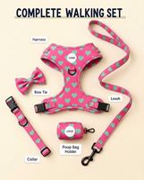 Ensemble de harnais pour chien anti-traction personnalisé, collier rembourré doux, laisse et harnais de qualité supérieure pour chien, distributeur de sacs à déjections canines, accessoires pour animaux de compagnie