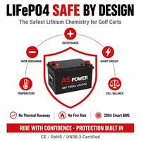 Batería de Litio LiFePO4 de 48V 100Ah para Carro de Golf, 5120Wh, Ciclo Profundo, con BMS de 200A, Reemplazo para Club Car, EZGO, Yamaha, Sin Mantenimiento