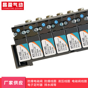 วาล์วโซลินอยด์ Changying Qidong รุ่น XY-15C 24VDC 2.2W วาล์วควบคุมลมสำหรับระบบลม - Product Image 5