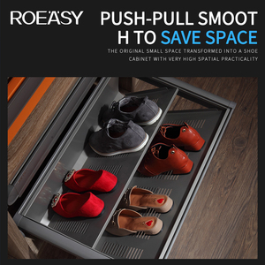 ROEASY Modern <strong>Design</strong> 2 Tier Pull Out Sliding Wardrobe Accessories Shoe Rack for <strong>Closet</strong> - Product Image 3