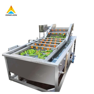 Hot Sale <strong>Vegetable</strong>/Fruits/Mushroom <strong>Production</strong> SUS 304 Material Bubble Washing/Cleaning Line - Product Image 1