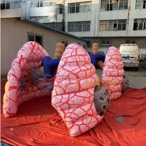 Attrezzature per l'insegnamento medico gonfiabili per organi del corpo gonfiabili per <span class=keywords><strong>palloncini</strong></span> gonfiabili per polmone sano - Product Image 6