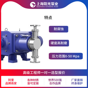 Pompe doseuse à piston Shanghai Sunshine Pump Industry DZ-D2 en acier inoxydable 316, électrique, 36 L/min, 100 m de hauteur de refoulement - Product Image 5