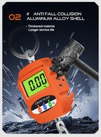 Balance de grue HKLP 300 kg avec affichage LED, personnalisable, en ABS, balance de poche numérique LCD, contrôleur de poids, balance d'essieu, OEM