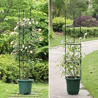 Obélisque de jardin en métal, treillis de soutien pour plantes, cage de treillis pour roses en pot, clématites, plantes grimpantes, pot de fleurs, décoration de jardin
