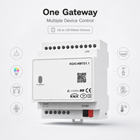 Passerelle KNX vers Matter sur rail DIN, contrôle local de 120 appareils, Hub Matter OTA pour la domotique de villas