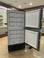 Réfrigérateur congélateur plasma à deux portes 518L -30 degrés pour pharmacie médicale pour le stockage de l'ADN des vaccins
