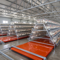 Équipement automatique à 4 niveaux pour 10 000 poules pondeuses, cage à batterie pour poulets de ferme