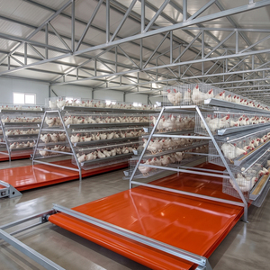 อุปกรณ์เลี้ยงไก่ไข่อัตโนมัติ 4 ชั้น สำหรับไก่ไข่ 10,000 ตัว แบบกรงแบตเตอรี่สำหรับฟาร์ม - Product Image 1