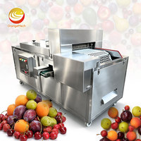 ORME Automatische Gedroogde Rode Dadel Pitverwijderaar, Automatische Stenen Fruit Ontpitmachine, Kersen Pruimen Pitverwijderaar