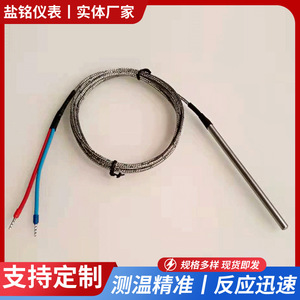 Salt Inscription J Type Thermocouple Probe Wrf 191 Wire Leads Temperature Sensor Yancheng Origin - Product Image 5