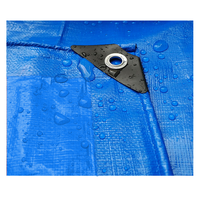 Bâche en plastique LVJU, toile résistante, imperméable, en PE, bâche enduite de HDPE