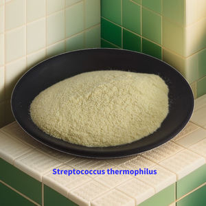 Dareflor RepotflorプロバイオティクスカプセルLactobacillus Coagulans Reflor Coagulans Repoflorタブレット - Product Image 4