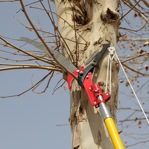 Fabricant de gros ciseaux télescopiques haut de gamme en acier au carbone ciseaux d'élagage de jardin ciseaux de fruits <span class=keywords><strong>litchi</strong></span> - Product Image 2