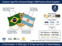 Broche en métal OEM à double drapeau ondulé, design moderne et antique, drapeau croisé Brésil Argentine, émail dur, cadeau diplomatique